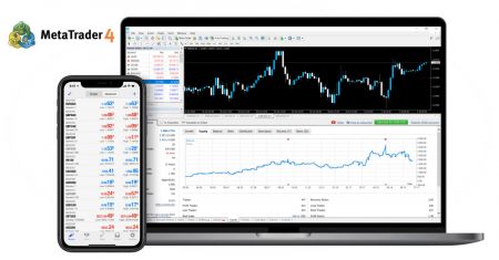 Como usar o XM MT4 para iniciantes por vídeo