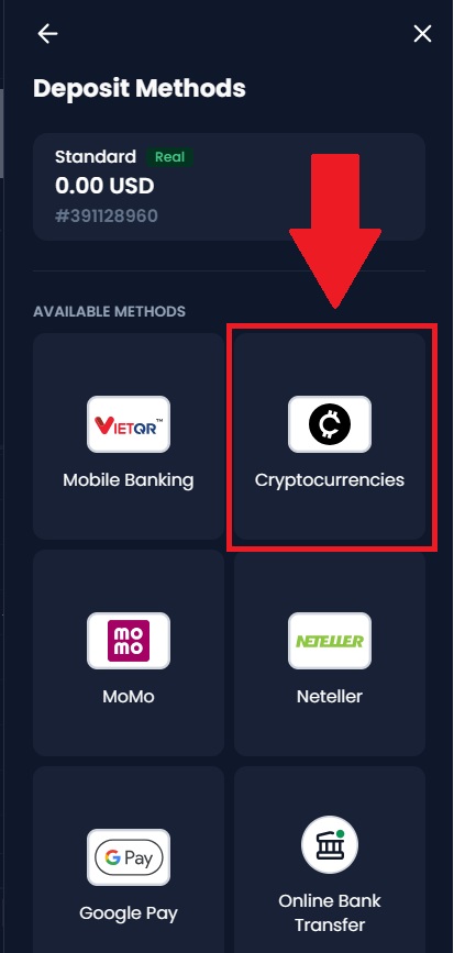 XM 存款指南 2026：付款方式、費用和處理時間說明
